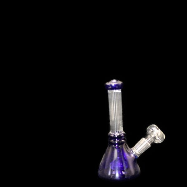 2300203.jpg